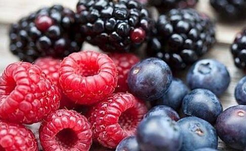 ارتفاع صادرات التوت الطازج من المغرب رغم التحديات الاقتصادية والمناخية