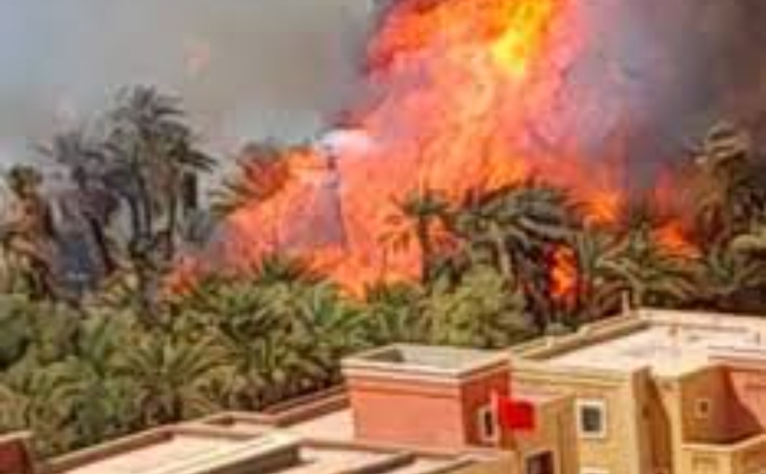 الحرارة تتسبب في حريق مهول بواحة كبيرة بالرشيدية