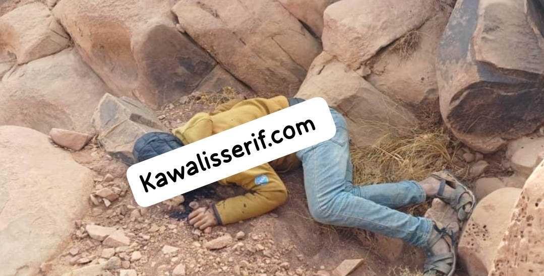 فيديو :    يقف وراءها بارونات جزائريون بالدار البيضاء … مقتل مغربي على الحدود بإقليم فكيك خلال عملية إدخال المخدرات إلى الجزائر !