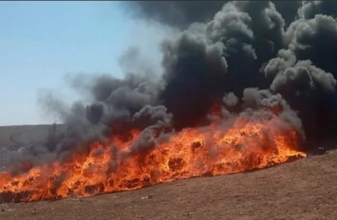 إحراق 16 طن من الحشيش بعد حجزها بإقليم برشيد