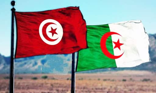 أزمة الجفاف في المناطق الحدودية لتونس.. التحقيق يكشف عن تدهور الوضع واستنزاف الموارد المائية