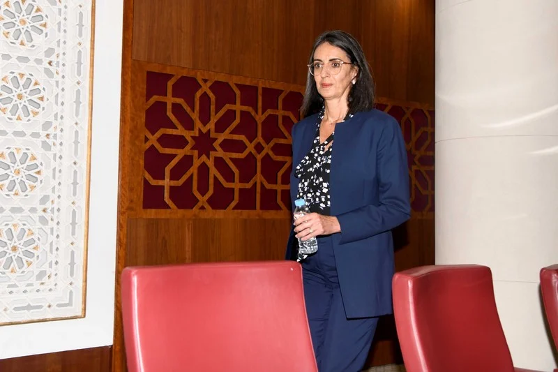التأثيرات الاقتصادية للشراكة بين القطاعين العام والخاص.. مجلس النواب يدعو وزيرة الاقتصاد والمالية للنقاش