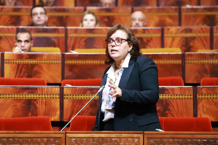 بعد سنوات من الانتظار..المغرب يستعد لإصدار بطاقات الإعاقة