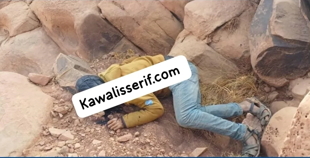 سقوط عدة مسؤولين أمنيين ومن السلطة بإقليم فكيك بعد مقال “كواليس الريف” حول المخدرات العابرة للجزائر