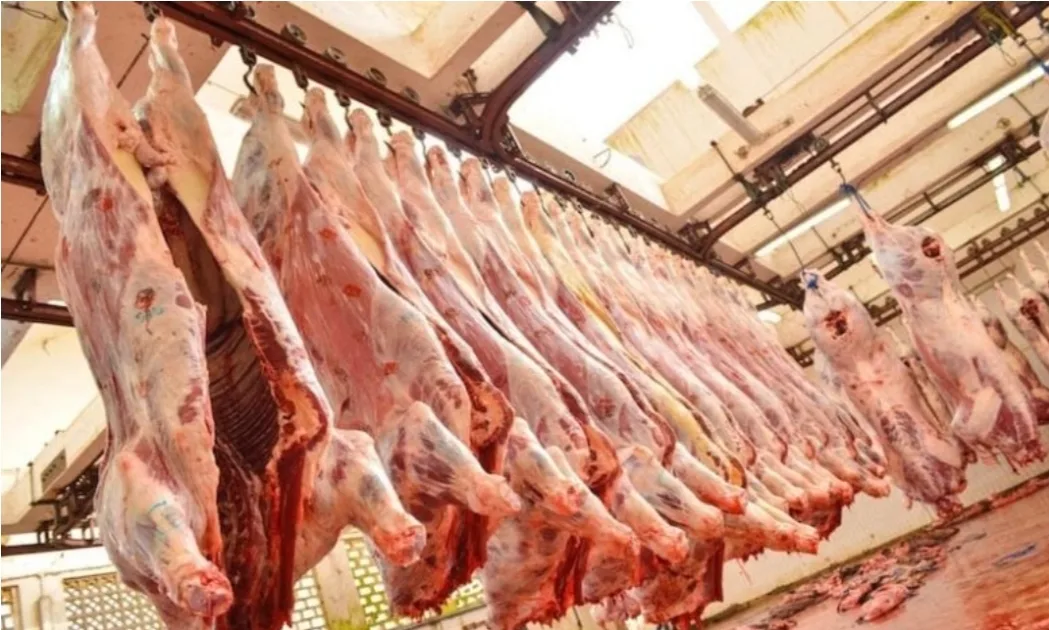اللحوم الحمراء في المغرب تصل إلى 125 درهم للكيلوغرام