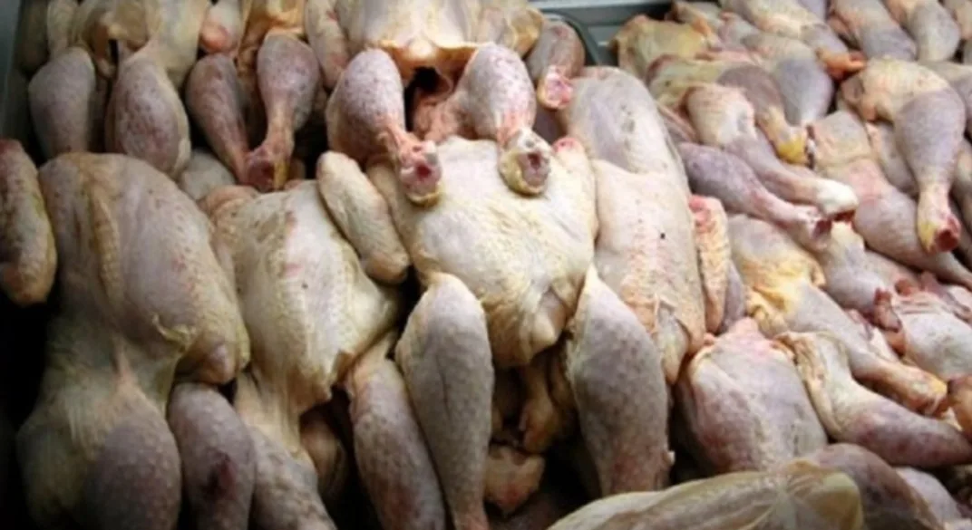 إيداع صاحب مخزون الدجاج الفاسد السجن ، بسبب بيعه لمطاعم بطنجة