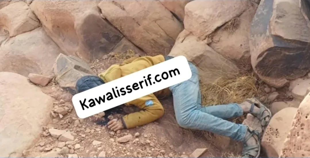 نفوذ البارون الوجدي “طاحت” … الغموض يلف تحقيقات الأجهزة الأمنية في عملية إجهاض تهريب المخدرات إلى الجزائر عبر حدود فكيك !