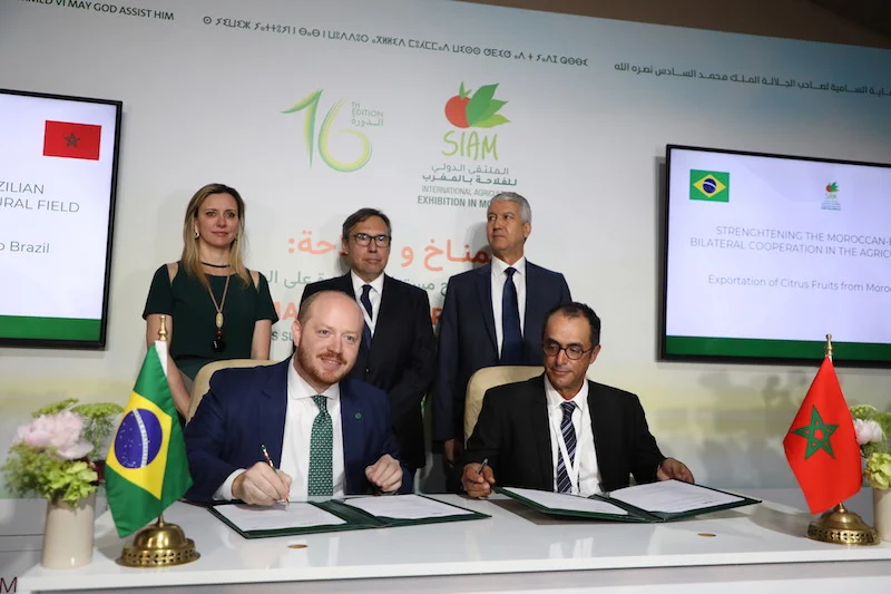 تعزيز العلاقات التجارية بين البرازيل والمغرب.. فرص وتحديات