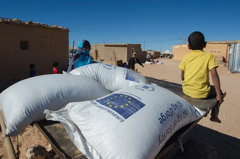 موقف إيرلندا والتحديات الإنسانية في المخيمات … تبني للحيادية السلبية