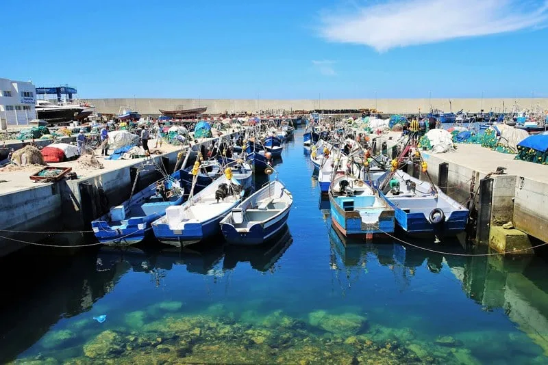 الصيد البحري بين الرباط وبروكسل … تحديات وآفاق