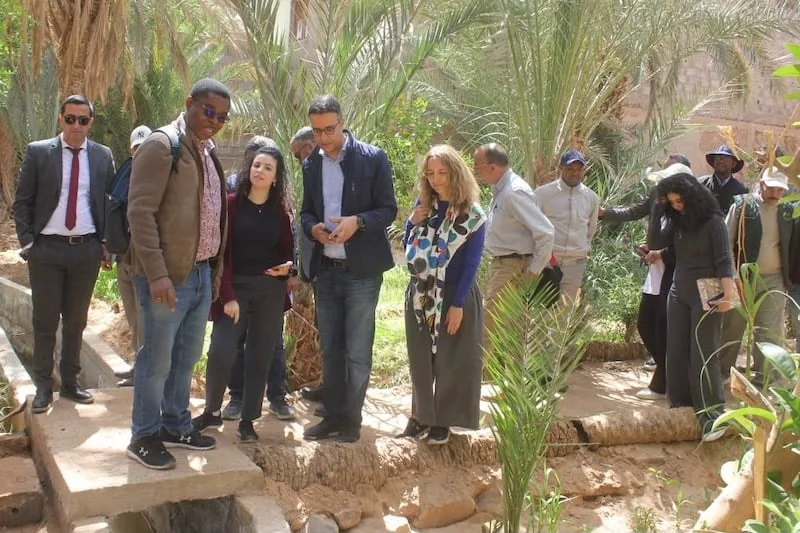 تحليل مشروع “بروغرين” بواحات المملكة