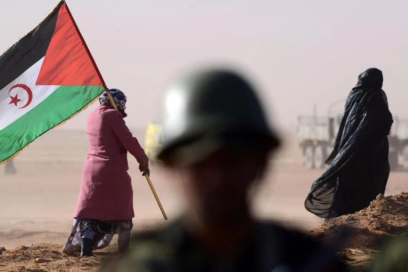 تحت الضغوط.. البوليساريو تناشد فرنسا بوقف دعم المغرب