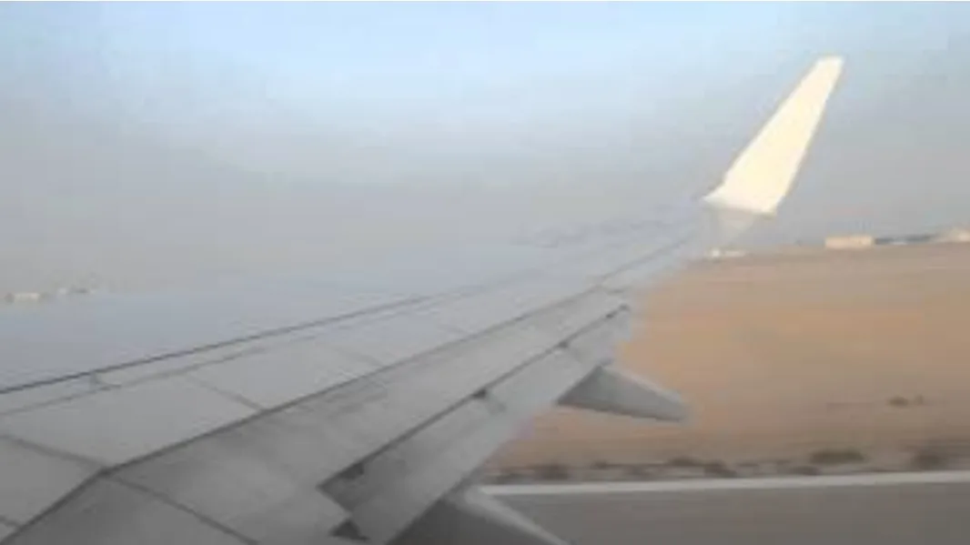 طائر “يرفض” إقلاع طائرة مغربية من مطار الداخلة