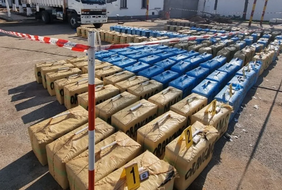 إحباط محاولة تهريب 10 أطنان من الحشيش في آسفي