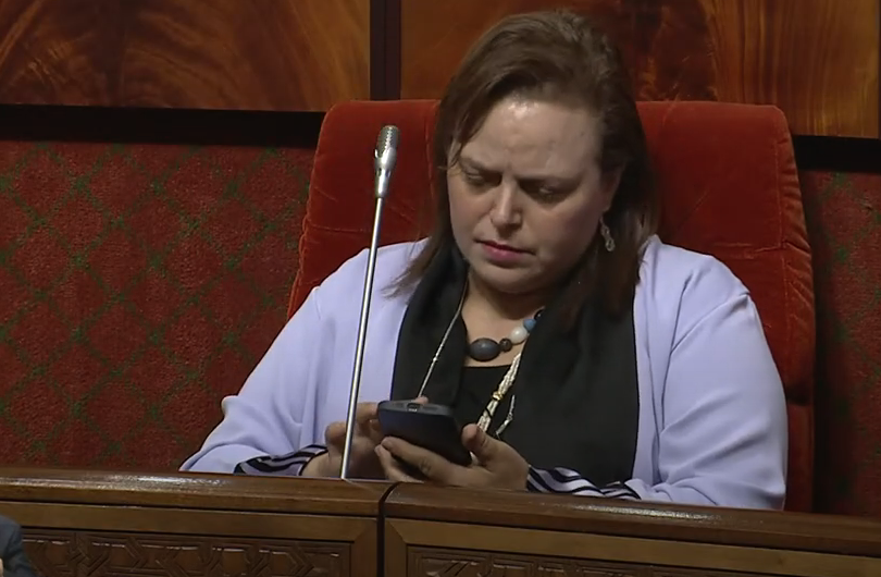 جرائم المختلين عقليا في الشوارع تحاصر الوزيرة عواطف حيار