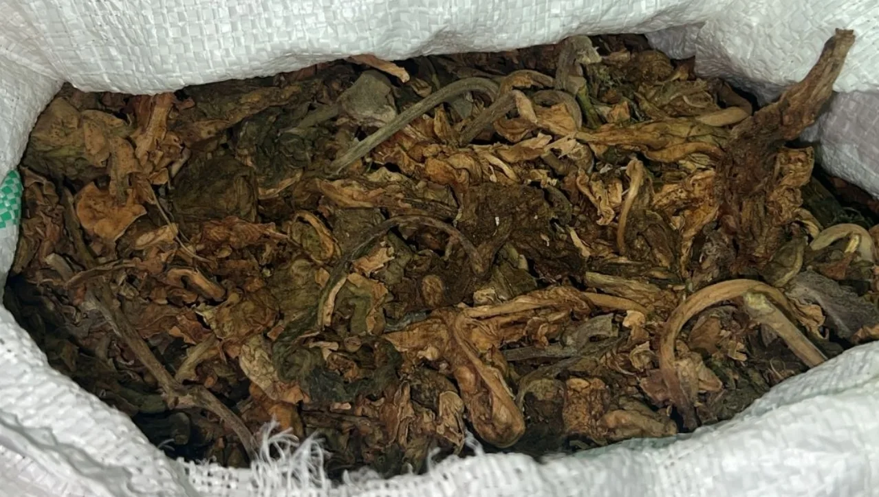 درك بني درار بعمالة وجدة يتمكن من حجز سيارة محملة بكمية كبيرة من مخدر “طابا”