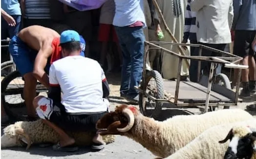 عيد الأضحى في المغرب سيكون يوم 17 يونيو 2024