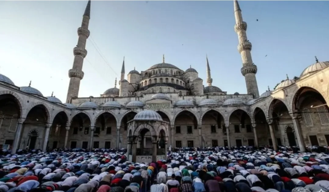 16 ألف تركي يصابون بجروح وكسور متفاوتة خلال ذبح أضاحي العيد