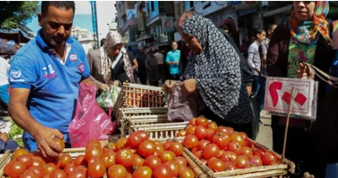 “ريحة الجالية” … إرتفاع أسعار الطماطم من جديد بالأسواق المغربية