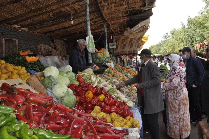 أزمة الأمن الغذائي في المغرب تتفاقم.. نتائج الدورة الثامنة من الباروميتر العربي
