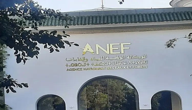 مدير مؤسسة المياه والغابات محمد عاكف يثير احتجاجات بقرارات جديدة