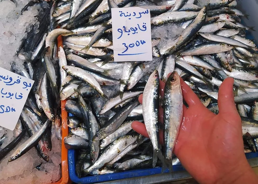 (صور) هذا الصيف.. ارتفاع أسعار الأسماك بأسواق الناظور  تغضب المواطنين