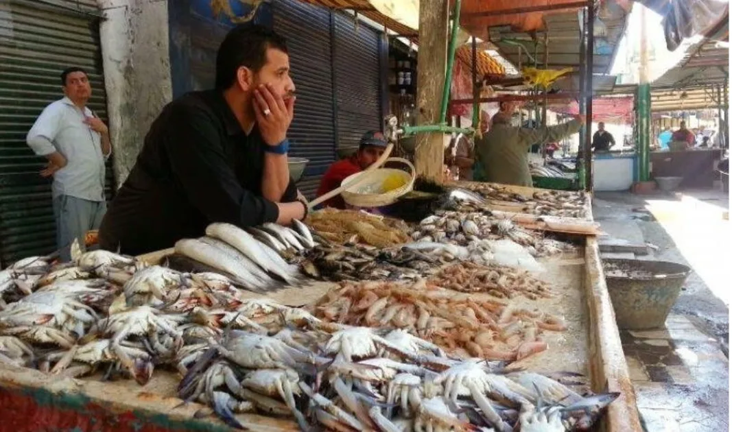 بعد لهيب الغاز واللحوم والدجاج والفواكه .. أسعار الأسماك تستمر في الارتفاع بأسواق المغرب