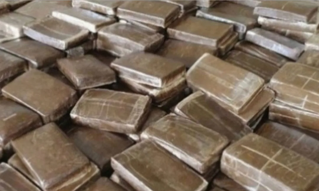 المغرب يصدر كمية كبيرة من المخدرات إلى سويسرا بطريقة قانونية
