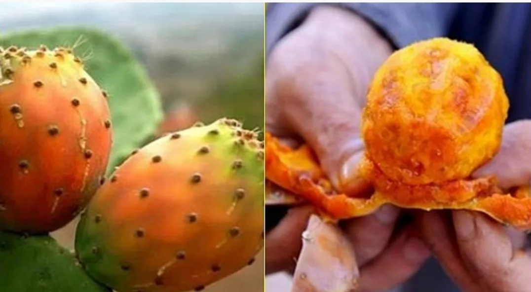 إستياء كبير وسط المغاربة بسبب لهيب “الهندية”