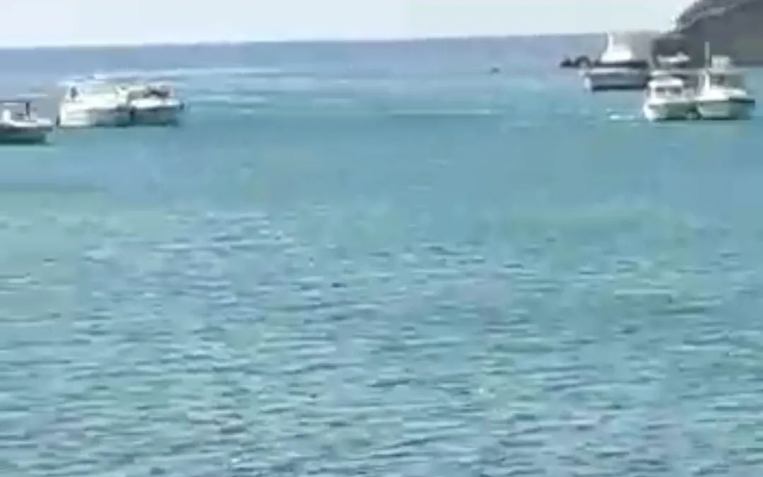 يخوت وزوارق ترفيه من مليلية تستبيح شواطئ إقليم الناظور دون رخص