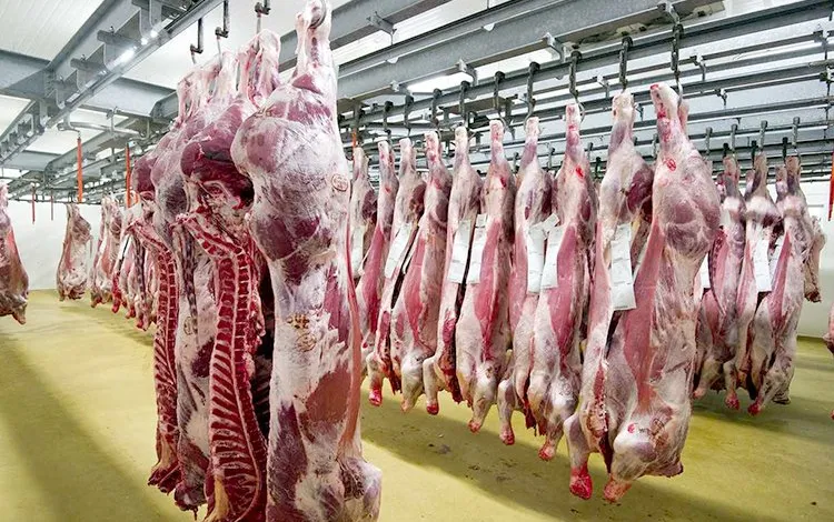 أثمنة اللحوم الحمراء تواصل الصعود وتتجاوز 110 درهم للكيلوغرام
