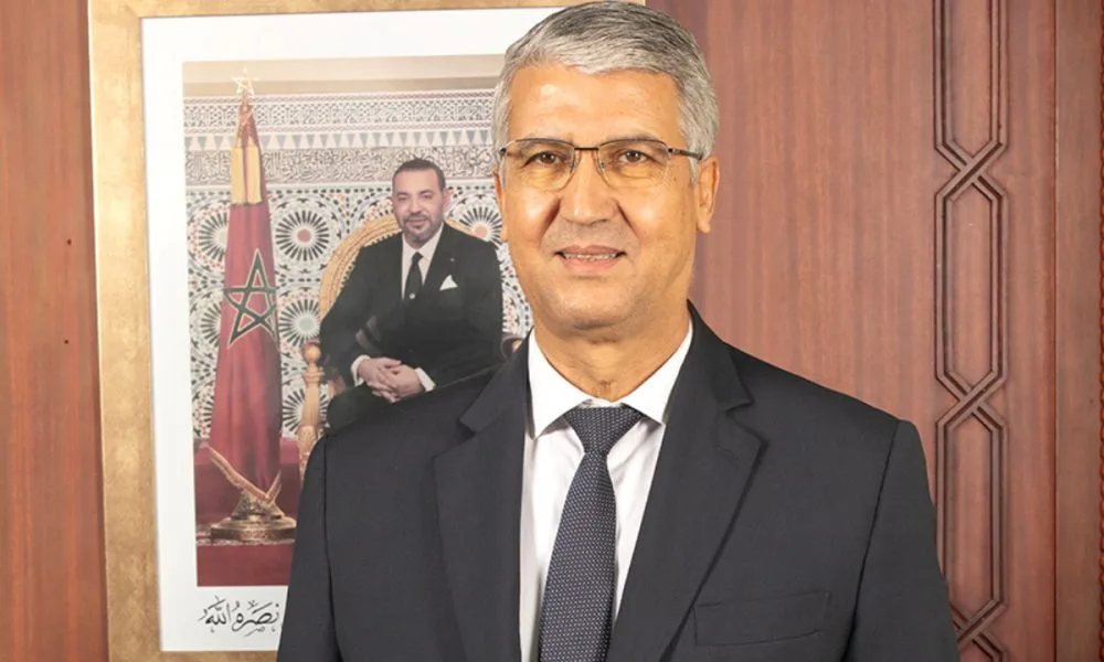ضياع ملايين الشتائل الغابوية..الوزير الصديقي يقر بتبديد أموال عمومية