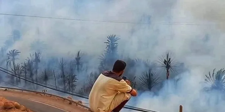 حريق مهول يلتهم واحة تودغى العليا في تنغير ويؤدي إلى خسائر فادحة في أشجار النخيل
