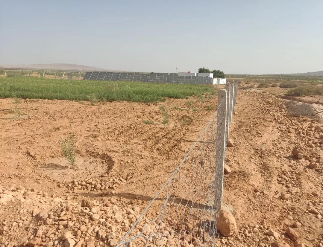 في ظل الجفاف والسنوات العجاف … مستشار بجماعة لمريجة بجرسيف يخصص الماء الشروب لري ضيعته
