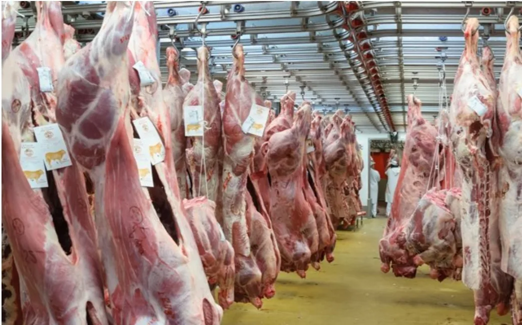 إرتفاع غير مسبوق للحوم الحمراء التي تقترب من 150 درهم للكيلوغرام