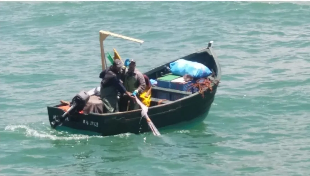 ارتفاع قيمة منتجات الصيد الساحلي والتقليدي المسوقة بالمغرب