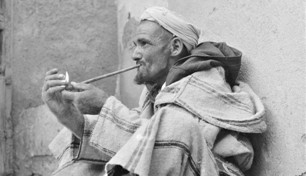 لأنه موروث ثقافي … دعوات في المغرب للسماح بإستهلاك مخدر الكيف بالسبسي