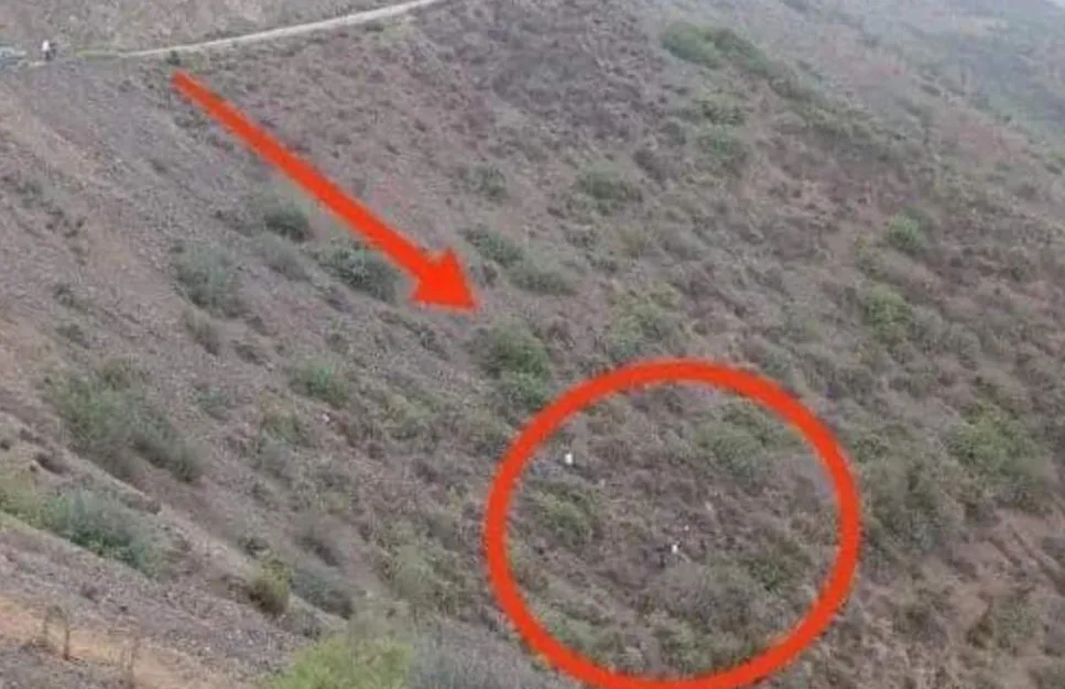 مقتل أربعة أشخاص بعد إنقلاب سيارة نفعية بمنحدر خطير بضواحي شفشاون ونجاة طفلة صغيرة