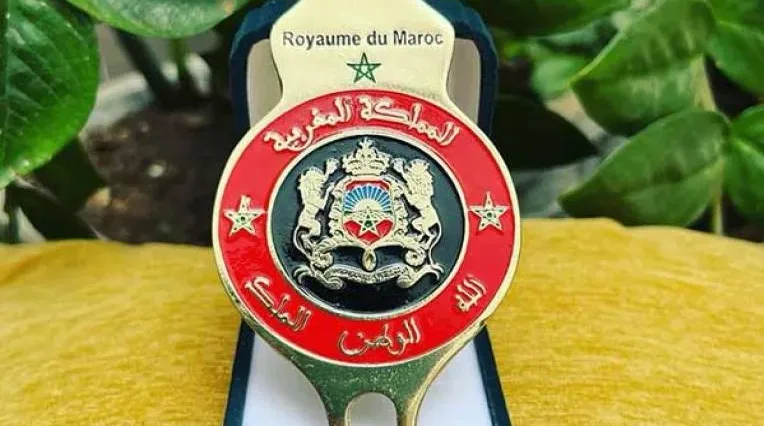فوضى الشارات المهنية على السيارات.. أزمة قانونية وضرورة تنظيم