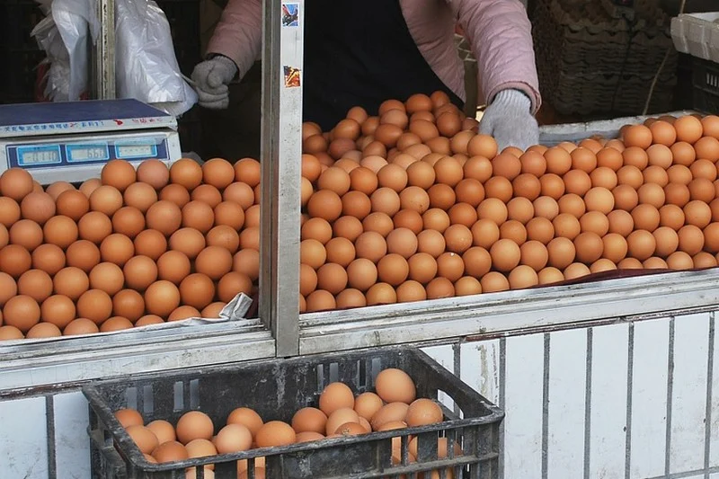 بعد أثمنة الدجاج .. قفزة مفاجئة في أسعار البيض بنسبة 65%