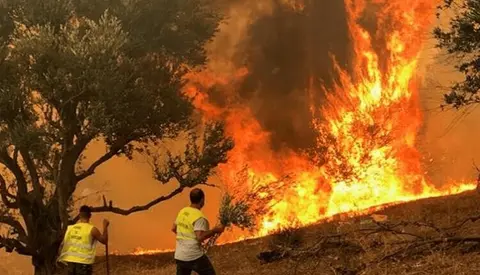 إخماد حريق هائل في غابات شمال المغرب بعد خمسة أيام من اندلاعه