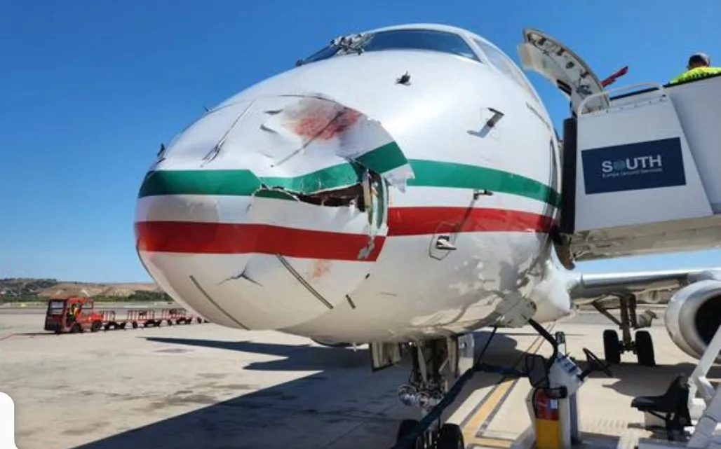 طائرة تابعة للخطوط المغربية تصطدم بسرب من الطيور الذي أتلف واجهتها خلال هبوطها بمدريد
