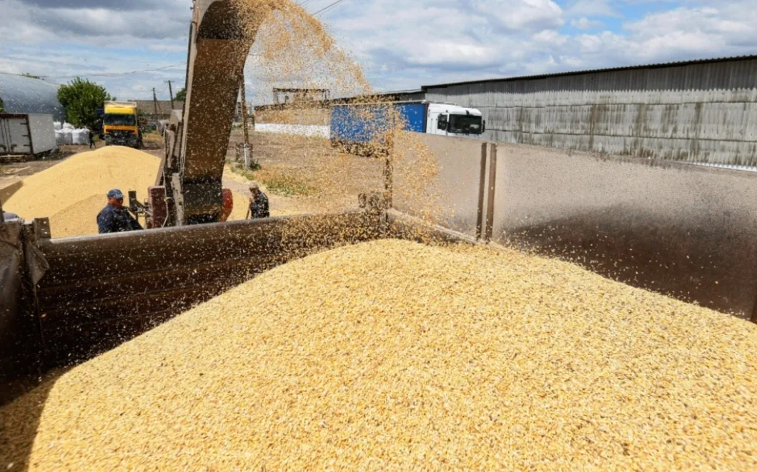 عمال شركة ( Nador céréales  ) بسلوان المملوكة للملياردير مدرسي في تصعيد إحتجاجي بسبب الطرد وسوء المعاملة