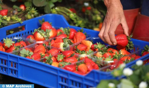 زيادة ملحوظة في واردات الفواكه الإسبانية من المغرب بنسبة 80,2%