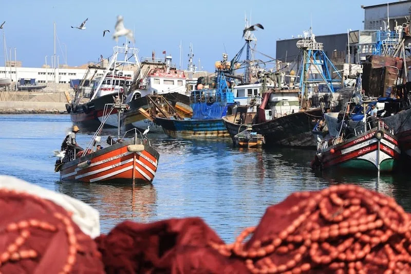 قطاع الصيد البحري المغربي يحقق عوائد تفوق 820 مليون دولار خلال الأشهر التسعة الأولى من العام الجاري