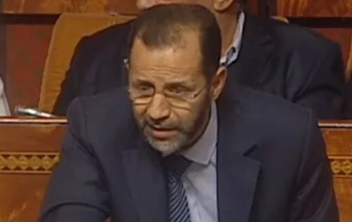 الحصان يركل الحمامة من على كرسي جماعة مكناس ويفوز بالرئاسة