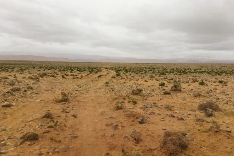 استعادة حقوق الجماعات السلالية.. وزارة الداخلية تتصدى لمافيا الأراضي
