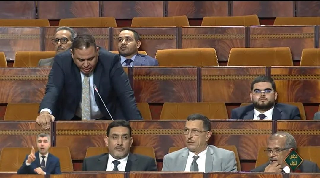 فيديو :    البرلماني رفيق مجعيط يسائل الحكومة عن تنفيذ توجيهات الملك بخصوص الإستثمار