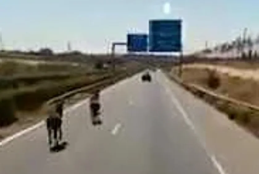 حمار يتسبب في حسائر ضخمة لشركة الطرق السيارة بالمغرب