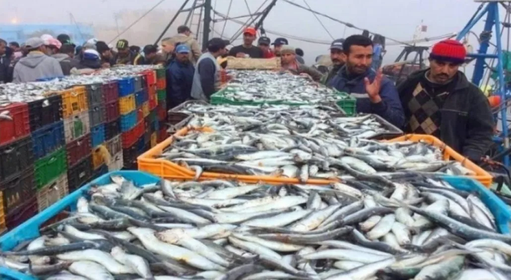 إرتفاع كبير في أسعار السمك بالمغرب